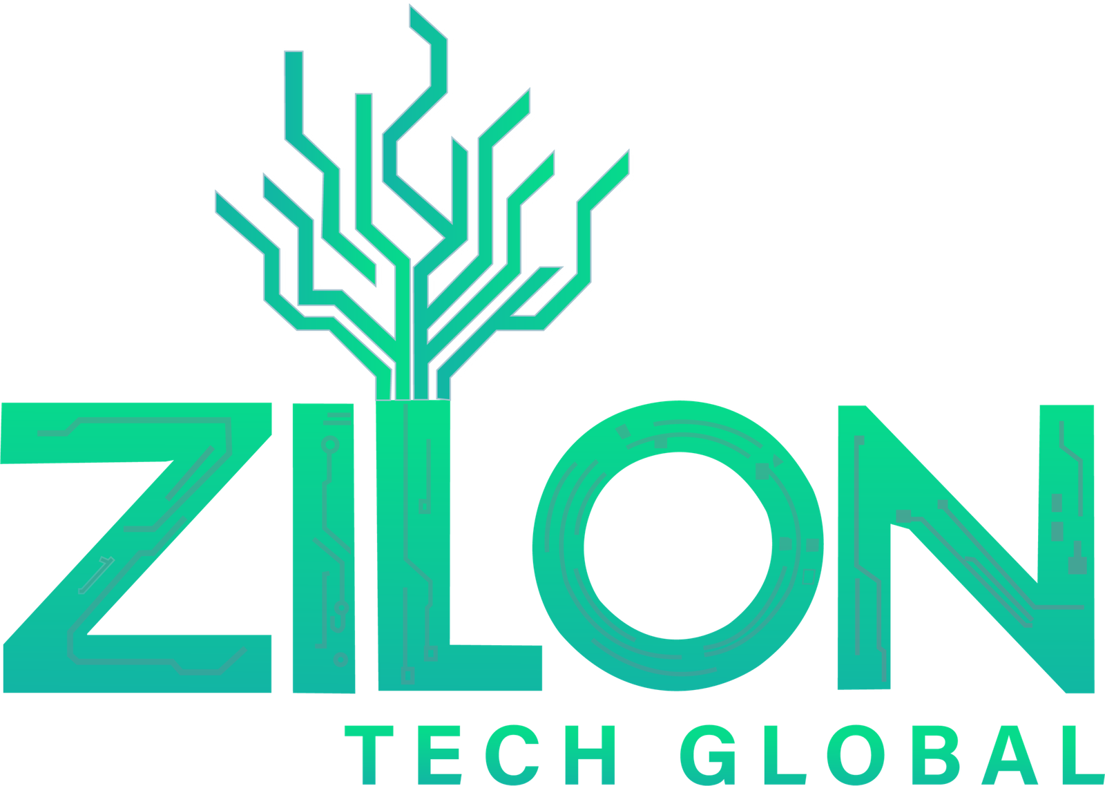zilonglobal.in